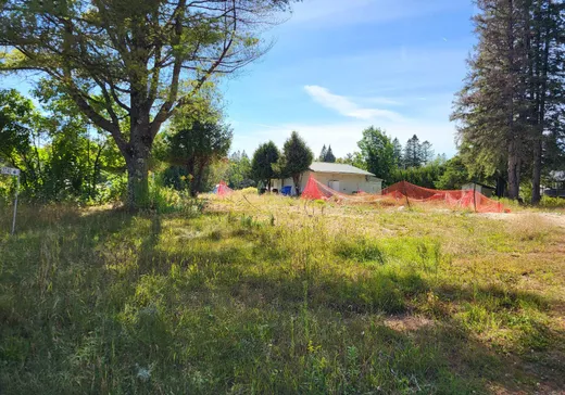 Terrain à vendre - 3740 Route Principale, Wentworth, J0T 1Y0