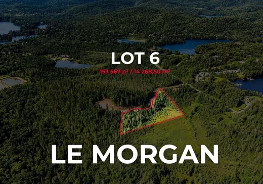 Terrain à vendre - 6 Ch. du Clos-Lucé, St-Adolphe d'Howard, J0T2B0