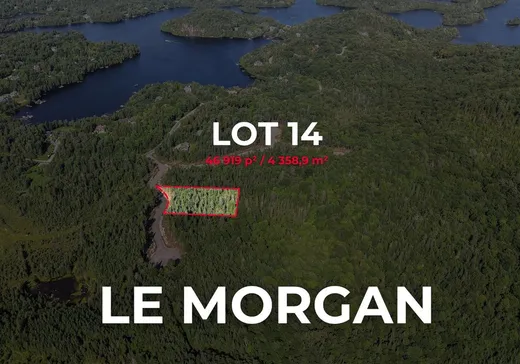 Terrain à vendre - 14 Ch De Brézé, St-Adolphe d'Howard, J0T2B0