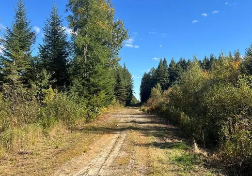 Terrain à vendre - 315B 3e-et-4e Rang E., Saint-Cyprien-Des-Etchemins, G0R1B0