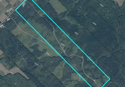 Terrain à vendre - 315B 3e-et-4e Rang E., Saint-Cyprien-Des-Etchemins, G0R 1B0