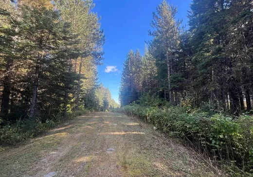 Terrain à vendre - 315B 3e-et-4e Rang E., Saint-Cyprien-Des-Etchemins, G0R 1B0