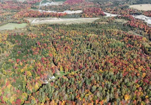 Land for Sale - 85 Ch. Simard, Cookshire-Eaton, J0B 2A0