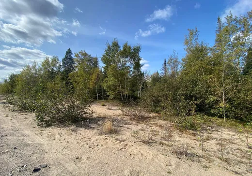 Terrain à vendre - 427 Rue Montigny, Sept-Îles, G0G 1L0
