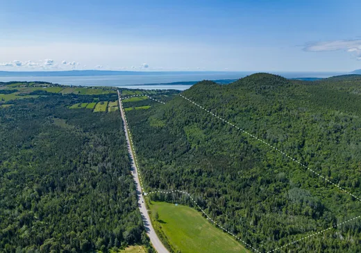 Land for Sale -  Rg Ste-Catherine, Les Éboulements, G0A 2M0