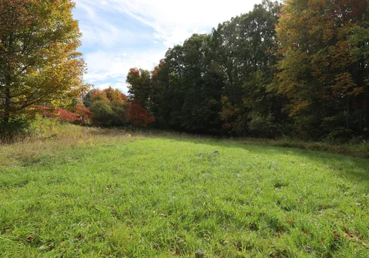 Terrain à vendre - 481 Route 243, Pointe-Claire (Île de Montréal), J0B 2H0