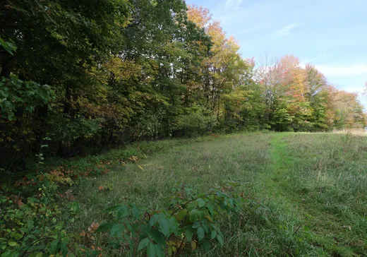 Terrain à vendre - 481 Route 243, Pointe-Claire (Île de Montréal), J0B 2H0