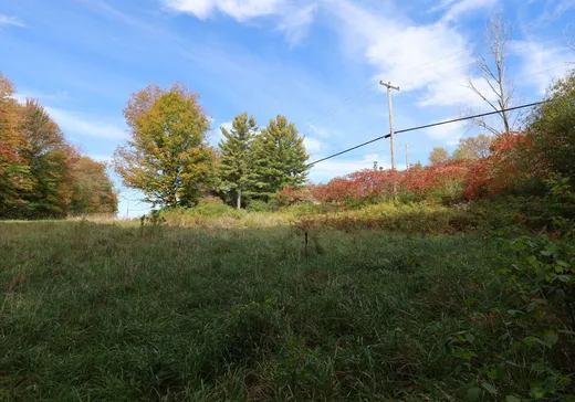 Terrain à vendre - 481 Route 243, Pointe-Claire (Île de Montréal), J0B 2H0