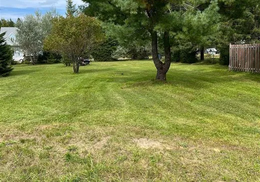 Terrain à vendre - 294 Mtée Kiamika, Rivière-Rouge, J0T 1T0