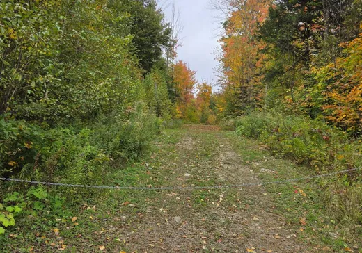 Terrain à vendre - 181 Mtée Rodgers, Lachute, J8H1H1