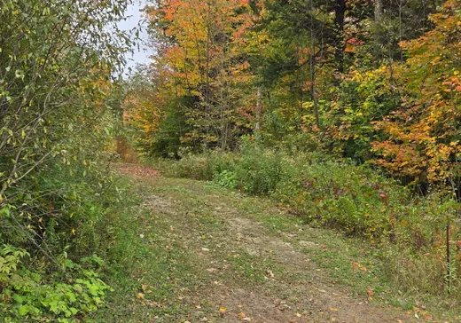 Terrain à vendre - 181 Mtée Rodgers, Lachute, J8H 1H1