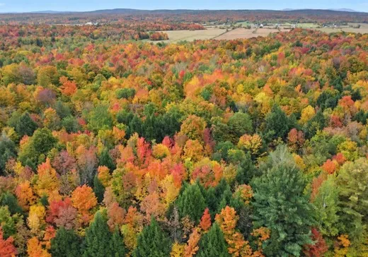 Terrain à vendre - 2215 9e Rang, Ville de Québec, J0H 1E0