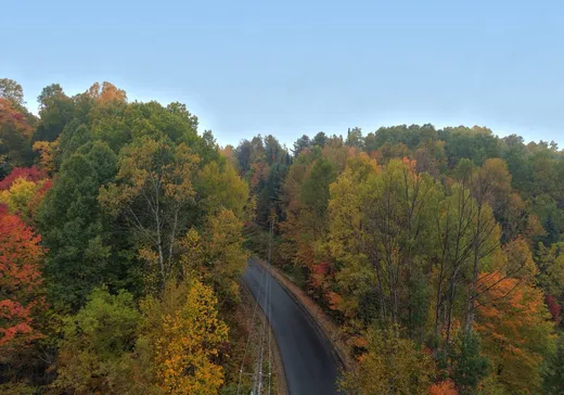 Terrain à vendre - Ch. de la Ri Ch. de la Rivière-Rouge, Grenville, J0V1B0