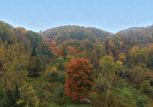 Terrain à vendre - Ch. de la Ri Ch. de la Rivière-Rouge, Grenville, J0V 1B0