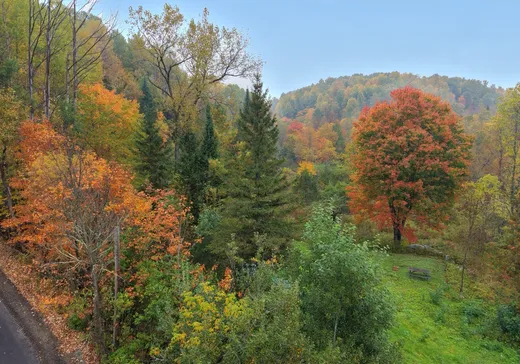 Terrain à vendre - Ch. de la Ri Ch. de la Rivière-Rouge, Grenville, J0V 1B0