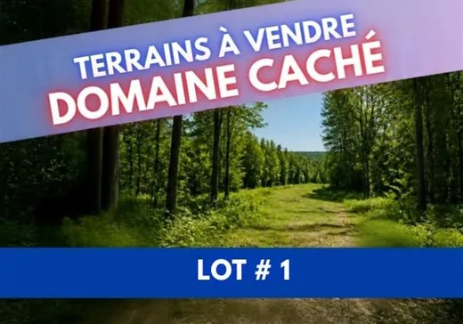 Land for Sale - 14 Ch. du 2e Rang, Gaspé, G4X 6V4