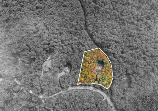 Terrain à vendre -  Ch. du Lac-Lili, Chertsey, J0K 3K0