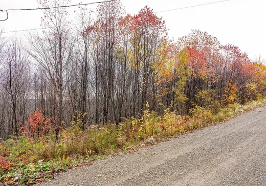 Land for Sale - 16 Ch. des Outardes, Notre-Dame-Des-Boies, J0B 2E0