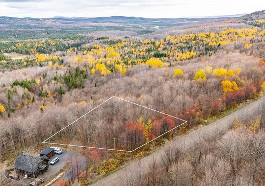 Land for Sale - 16 Ch. des Outardes, Notre-Dame-Des-Boies, J0B 2E0