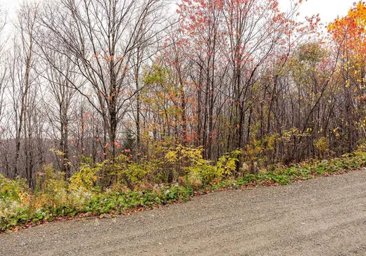 Land for Sale - 18 Ch. des Outardes, Notre-Dame-Des-Boies, J0B 2E0