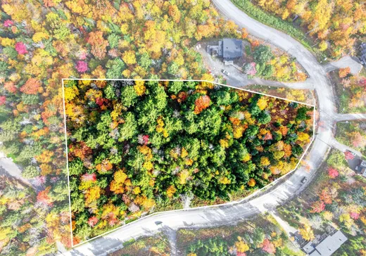 Land for Sale -  Rue du Denali, Mont-Tremblant, J0T 1M0