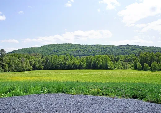 Land for Sale - 1412 Place des Vignes, Saint-Sauveur, J0R 1K0