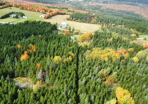Terrain à vendre - 1900 Ch. Sacré-Coeur E., Thetford Mines, G0N1S0