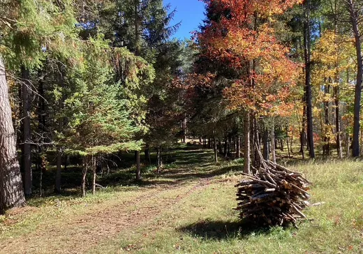 Terrain à vendre -  Ch. des Chutes, Labelle, J0T 1R0