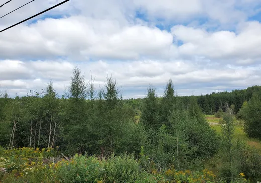 Land for Sale -  Route 311 N., Mont-Laurier, J0W 1H0