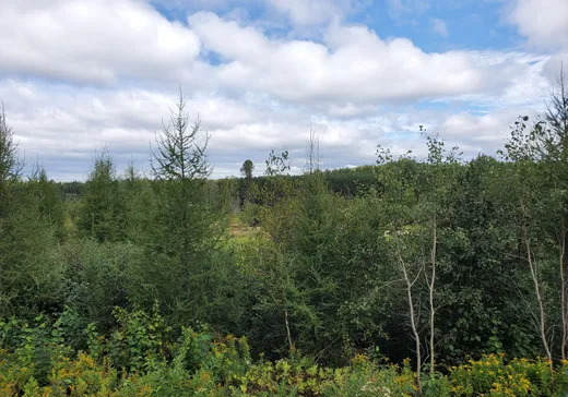 Land for Sale -  Route 311 N., Mont-Laurier, J0W 1H0