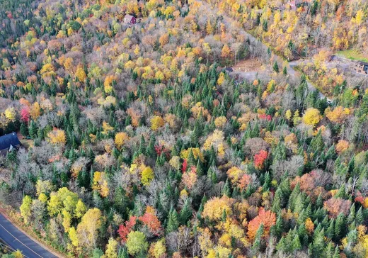 Land for Sale -  Ch. Adélard, Lake Superior, J0T 1J0