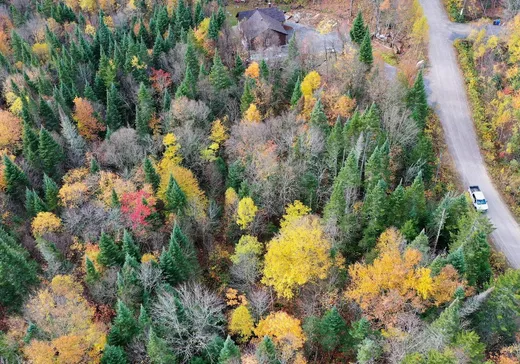 Land for Sale -  Ch. Adélard, Lake Superior, J0T 1J0