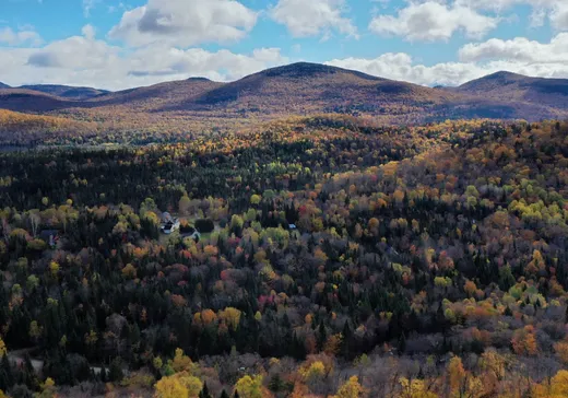 Land for Sale -  Ch. Adélard, Lake Superior, J0T 1J0