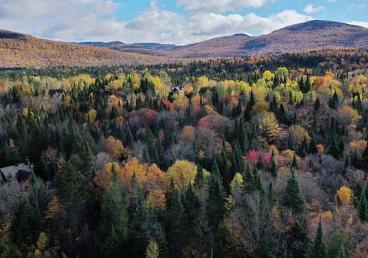 Land for Sale -  Ch. Adélard, Lake Superior, J0T 1J0