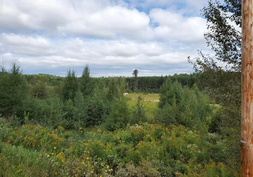 Land for Sale -  Route 311 N., Mont-Laurier, J0W 1H0
