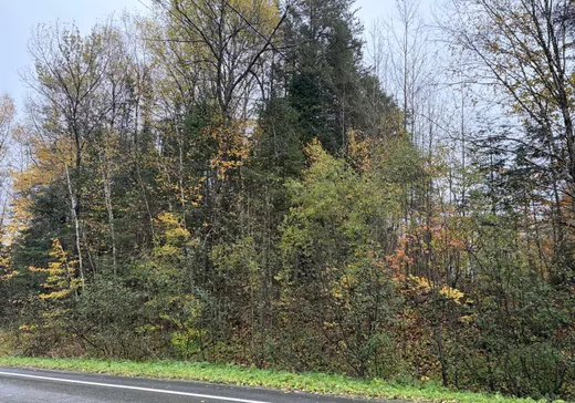 Terrain à vendre - 860 Rue Principale, Ville de Québec, G0A 3T0