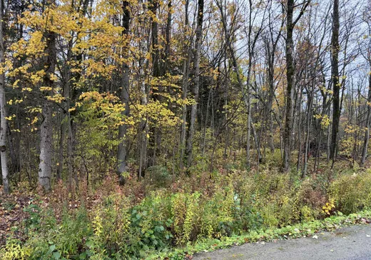 Terrain à vendre - 882 Rue Principale, Ville de Québec, G0A 3T0