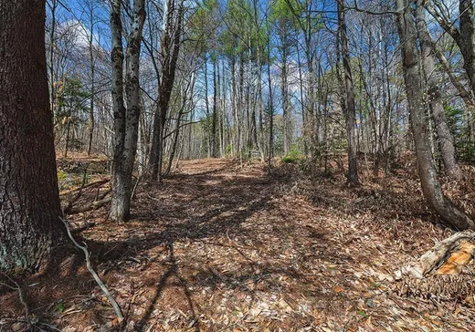 Terrain à vendre - 441 Rue Prince-Arthur, Otter Lake, J0X 2P0