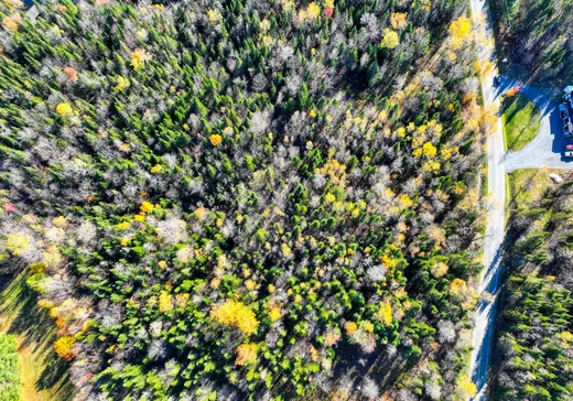 Terrain à vendre - 8330 Ch. Turgeon, Thetford Mines, G0N 1E0
