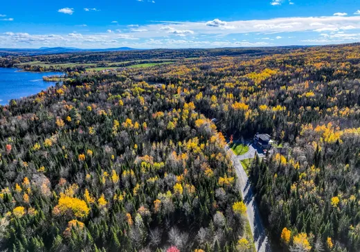 Terrain à vendre - 8330 Ch. Turgeon, Thetford Mines, G0N 1E0