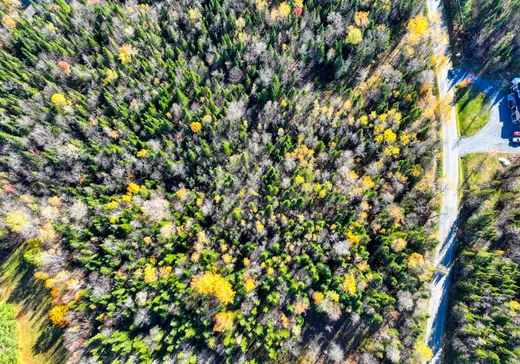 Terrain à vendre - 8320 Ch. Turgeon, Thetford Mines, G0N 1E0