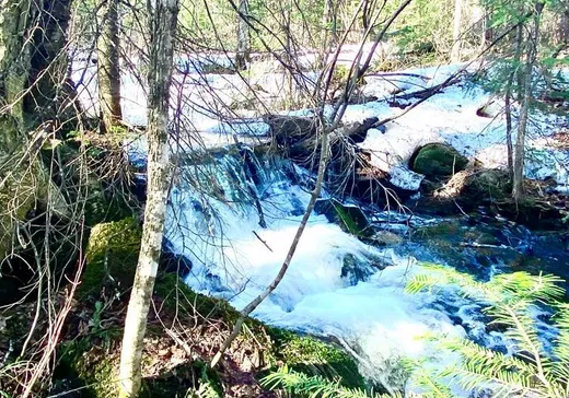 Terrain à vendre - 1 Rue de la Nature, Shawinigan, G9R 1T0