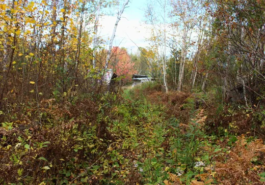Land for Sale -  Ch. des Hamelin, La Tuque, G9X 3N6