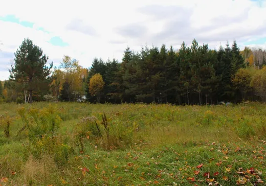 Land for Sale -  Ch. des Hamelin, La Tuque, G9X 3N6