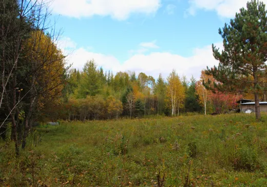 Land for Sale -  Ch. des Hamelin, La Tuque, G9X 3N6