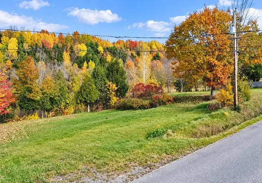 Terrain à vendre - 110 Rue Bergeron, St-Wenceslas, G0Z 1J0
