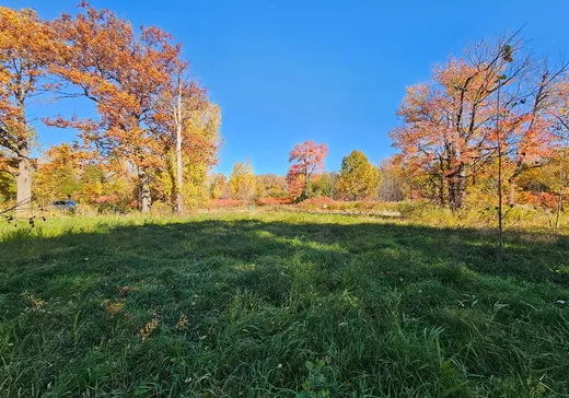 Land for Sale - 24 Av. Boisbriand, Sainte-Anne-de-Bellevue (Montreal Island), H9X 0C1