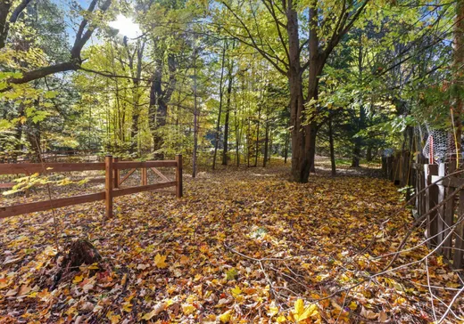 Terrain à vendre - Ch. Bourget Ch. Bourget, Rigaud, J0P 1P0