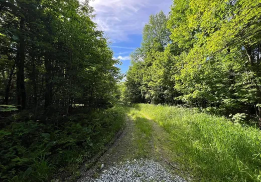 Terrain à vendre - 31 Rue Oak, Bolton-Est, J0E 1G0