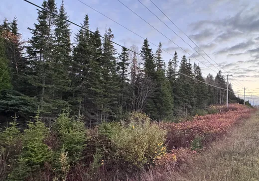Land for Sale -  Route 132 E., Grosses-Roches, G0J 1K0